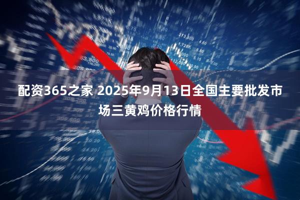 配资365之家 2025年9月13日全国主要批发市场三黄鸡价格行情
